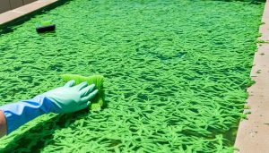Cleaning Pool Covers: How-To Guide